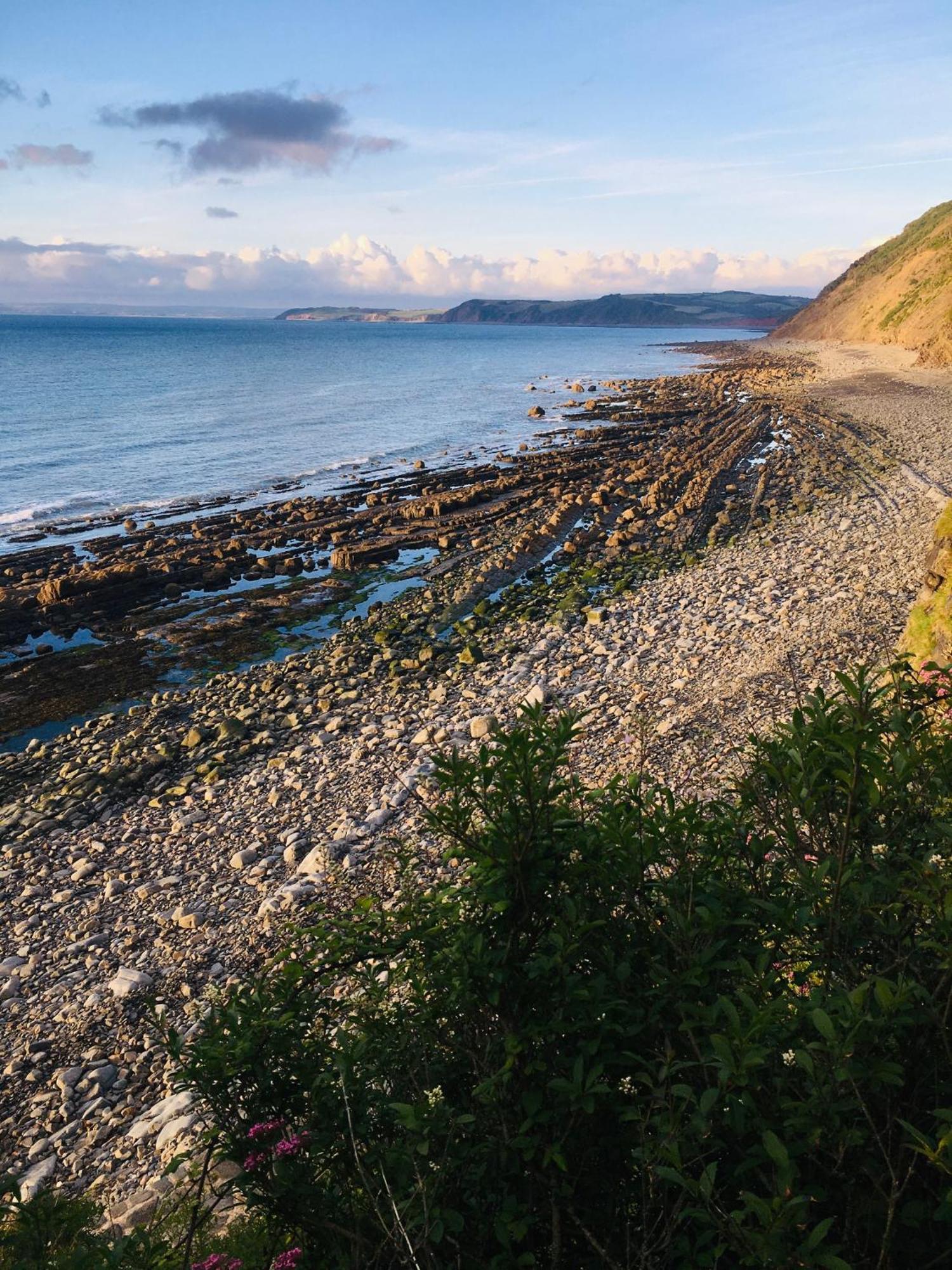 Petrock Holiday Cottages Newton Saint Petrock Buitenkant foto